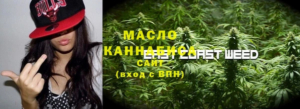 хмурый Алзамай