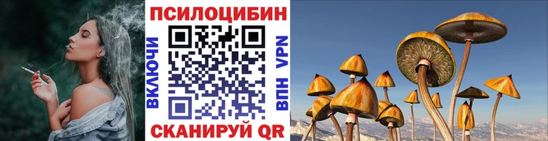 Псилоцибиновые грибы мицелий  Камызяк 