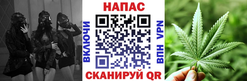 Бошки Шишки сатива  Камызяк 